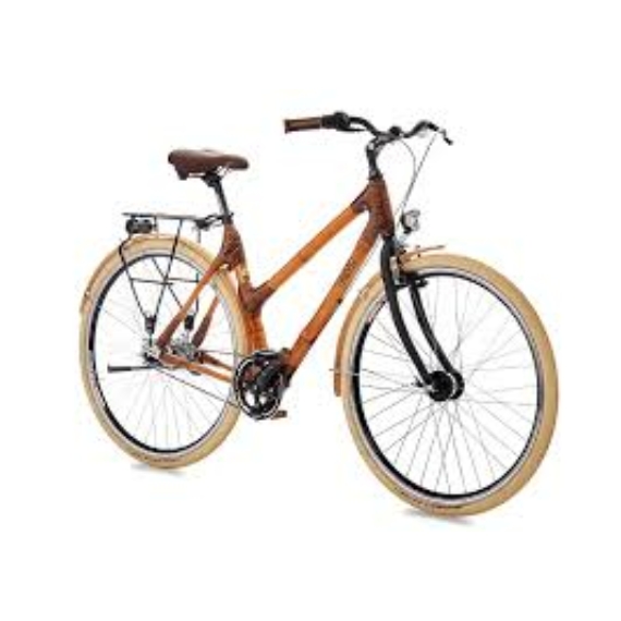 My Ashanti bamboo bike