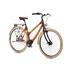 Kép 1/4 - My Ashanti bamboo bike